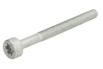 Enjektör Bağlantı Civatası / Enjektör civatası Motor: OM651, OM654, OM656, OEM A0019902607