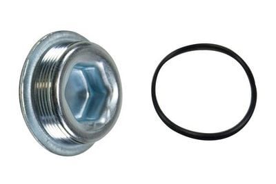 Blok Su Tapası Vidalı OM601, OM602, OM603, OM604, OM605, OM606, OM611, OM651, M102, M104, M111, M273 OEM A1179970230, A0069977548