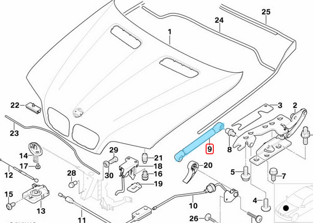 Motor Kaput Amortisörü BMW X5 E53, OEM 51238402551